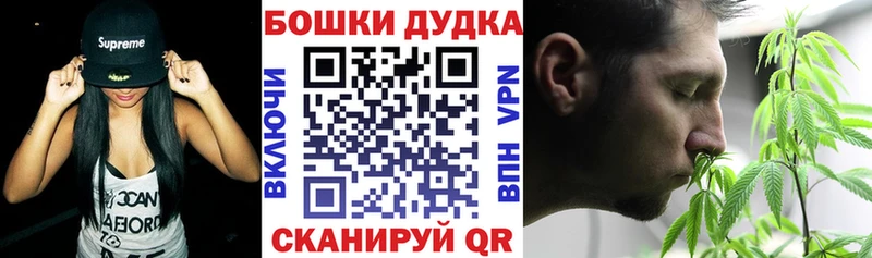 Как найти закладки Кинель Гашиш  Конопля  A PVP  Меф 